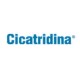 CICATRIDINA